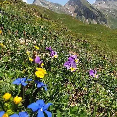 Charmante Kleine Ruhige * Leuk