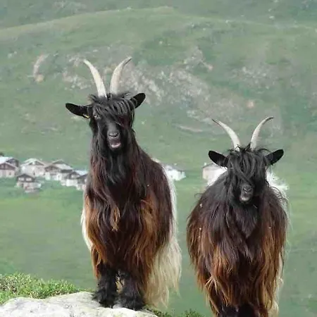 Appartement Charmante Kleine Ruhige Leuk