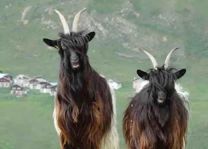 아파트 Charmante Kleine Ruhige Leuk