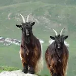Lejlighed Charmante Kleine Ruhige Leuk